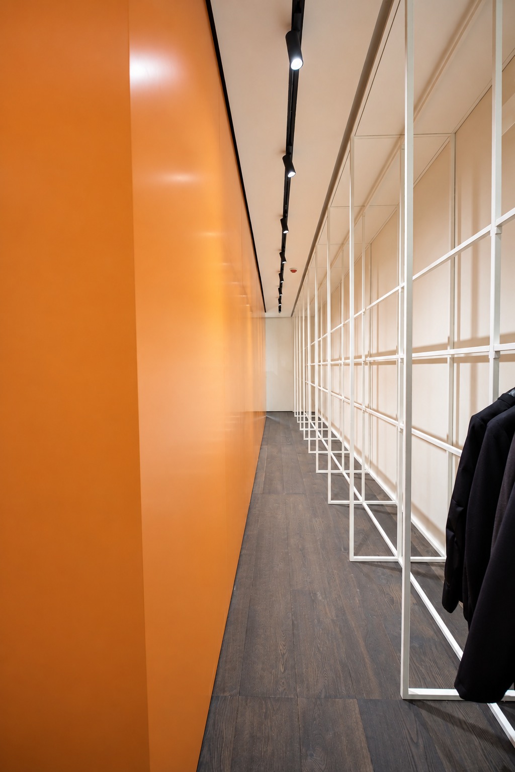 Davide Cenci: Geometrie e colore
